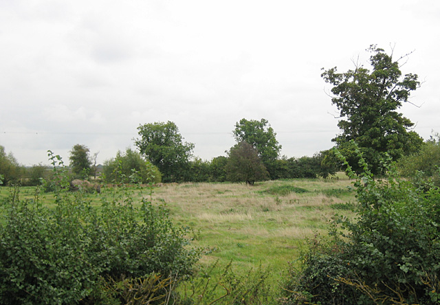 Pasture in Admington