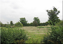 SP2045 : Pasture in Admington by Dave Bushell