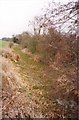 Disused Canal, Canon Frome