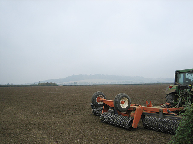 Fields near Pamington