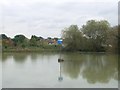 Fetcham mill pond