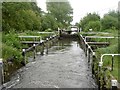 Monkey Marsh Lock