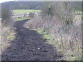 Path to Bayhurst Wood Countryside Park