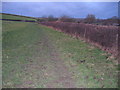 Path across farmland