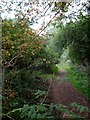 Footpath to Clay Hill Rd