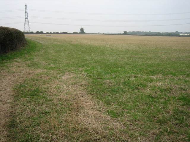 Field looking towards Lawn Farm