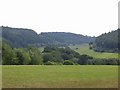 SO4065 : The valley between Shobdon Hill Wood and Mere Hill Wood by Raymond Perry