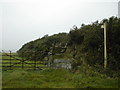 Footpath to Porth Widrin