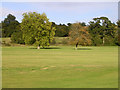 SU3902 : Beaulieu Cricket Club, Beaulieu, New Forest by Jim Champion