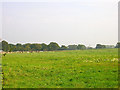 TQ5610 : Farmland, Coldharbour Road by Simon Carey