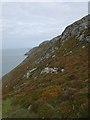 SH1326 : Cliffs at Braich Y Noddfa by Peter Shone