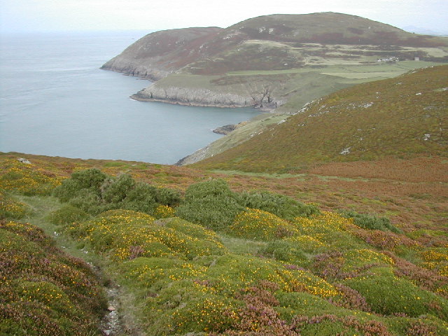 Heather covered hillside near Porth... © Peter Shone :: Geograph ...