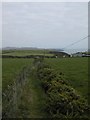 Raised footpath to Porth Meudwy