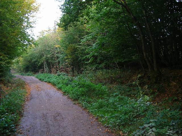 Robin Post Lane, Folkington Wood