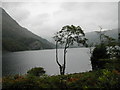 Southern end of Llyn Gwynant