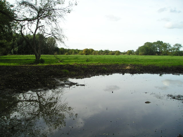 Reflections on a field