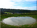 Dewpond, Bevendean