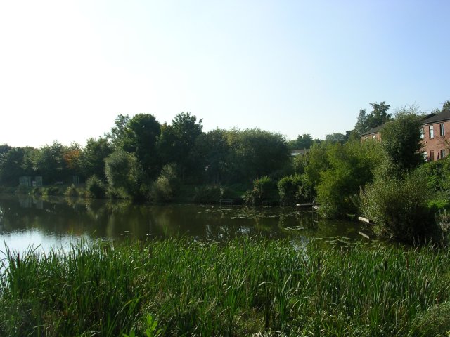 Old Reservoir