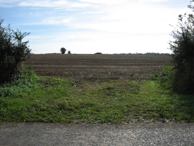 Field near Crawley