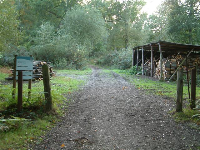 Pamber Forest  Woodyard