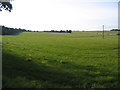 Farmland, Silsoe, Beds