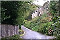 Minor road along the valley bottom at Carnbargus