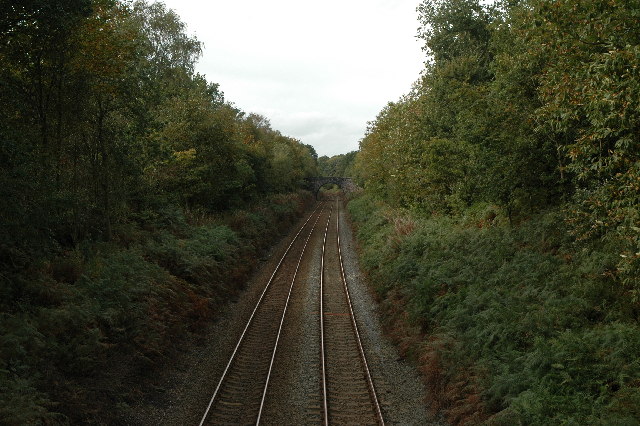 Railway through Delamere Forest