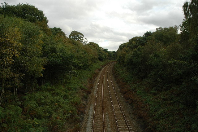 Railway through Delamere Forest