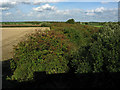 Old railway track, Vale of Belvoir