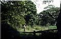 Bed of former Bude Canal, Cann Orchard, 1976