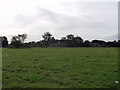 Farm buildings at "Manor Farm"  Eyton