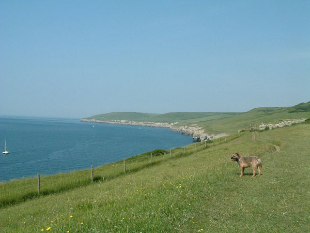 Dorset Coast Path, Langton Matravers,... © Andy Gilbert cc-by-sa/2.0 ...