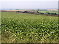 Farmland View