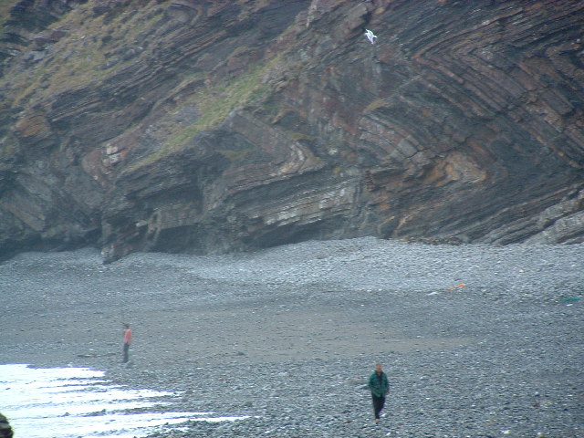 Cliff on NE side of Millook Haven