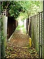 Footpath to Green Acres