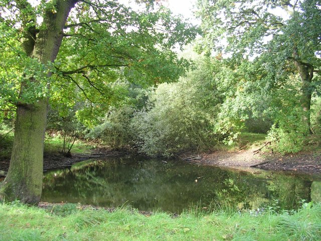 Pond in Woods © Keith Williamson :: Geograph Britain and Ireland