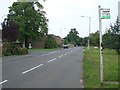 Bus stop in High Road