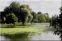 SU6356 : Gardens and lake, The Vyne estate by Crispin Purdye