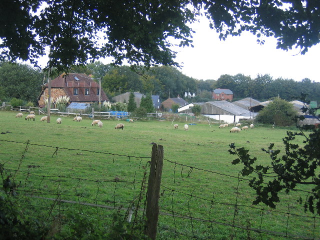 Meadow near Scott's Lodge