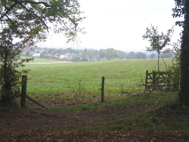 Fields south of Bookham