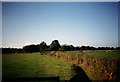 Farmland at Parbrook, Billingshurst