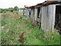 Disused allotment gardens, Melton Mowbray