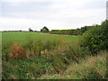 Farmland west of Great Lane, Clophill, Beds