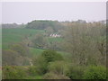 View from Pisgah to Grove Cottage