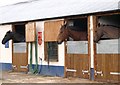 Stabled Horses