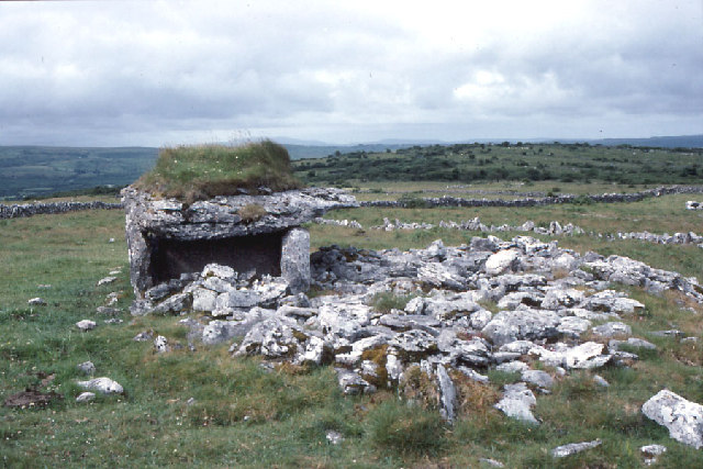 Wedge tomb at Parknabinnia.