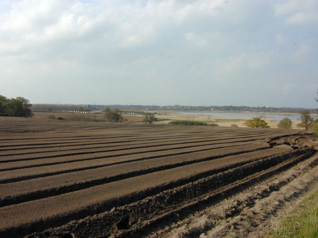 Farmland near Iken