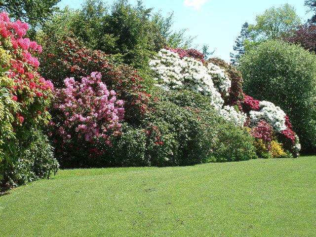 Stourhead Gardens in the spring