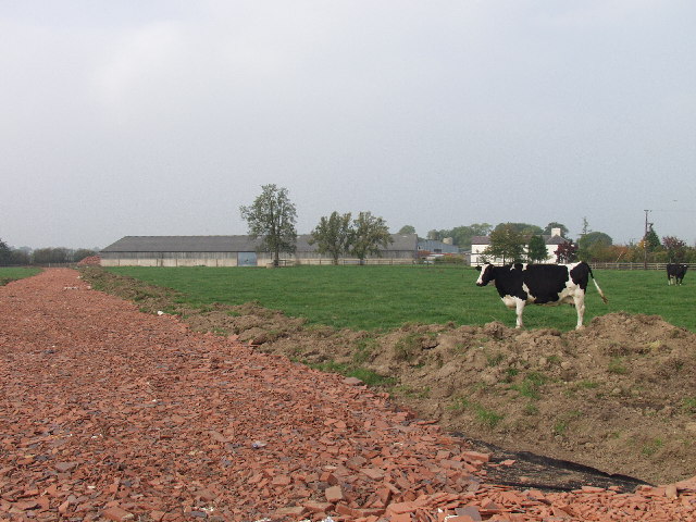 New access road at Cloy Hall Dairy