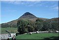 L7157 : Diamond Hill. Connemara National Park by Dr Charles Nelson